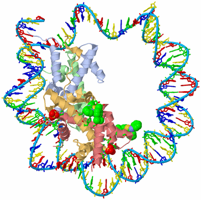 Image Biol. Unit 1 - sites