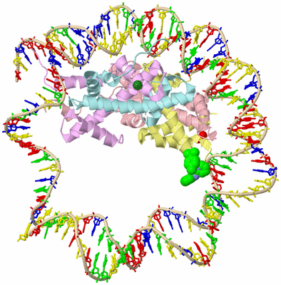 Image Biological Unit 2