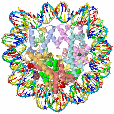 Image Biological Unit 3