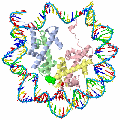 Image Biological Unit 1