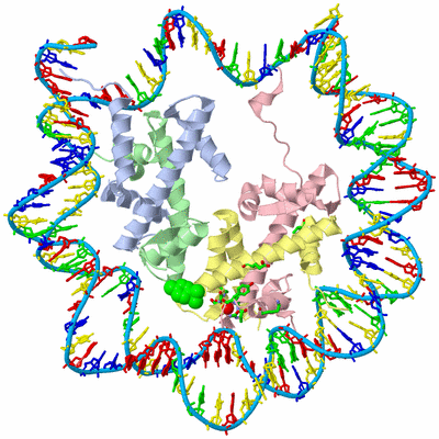 Image Biol. Unit 1 - sites