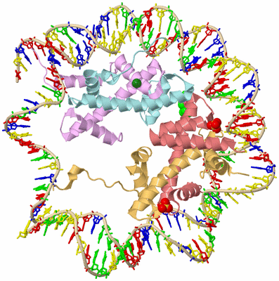 Image Biological Unit 2