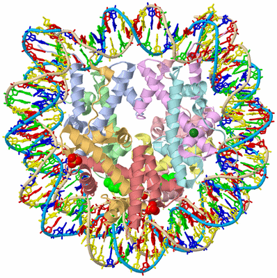 Image Biological Unit 3