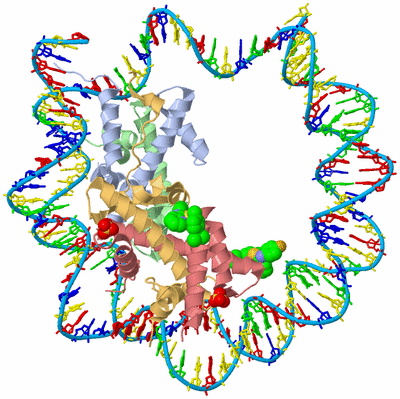 Image Biological Unit 1