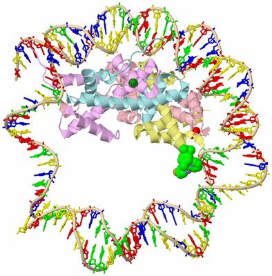 Image Biological Unit 2