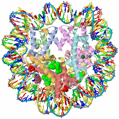 Image Biological Unit 3