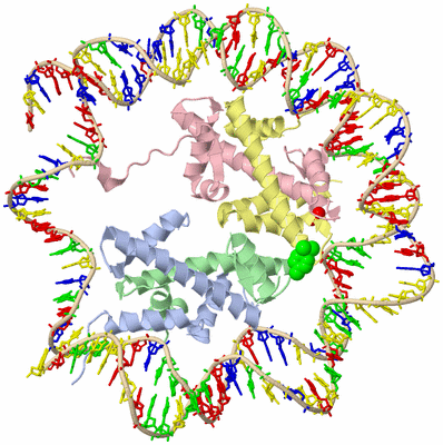 Image Biological Unit 1