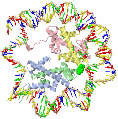 Image Biol. Unit 1 - sites