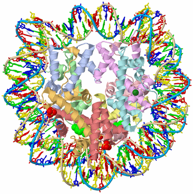 Image Biological Unit 3