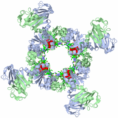 Image Biol. Unit 1 - sites