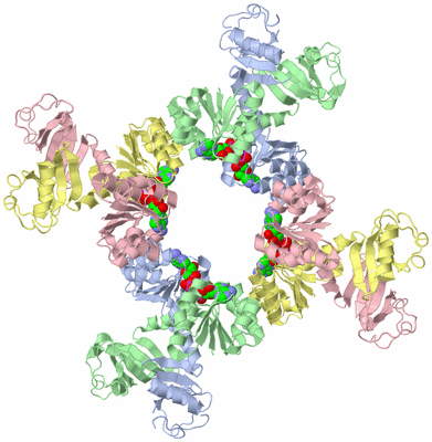 Image Biological Unit 1