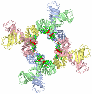 Image Biol. Unit 1 - sites