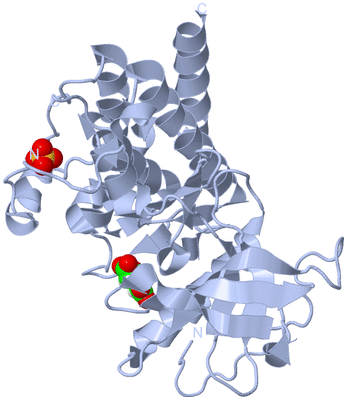 Image Biological Unit 1