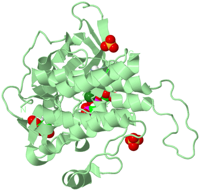 Image Biological Unit 2