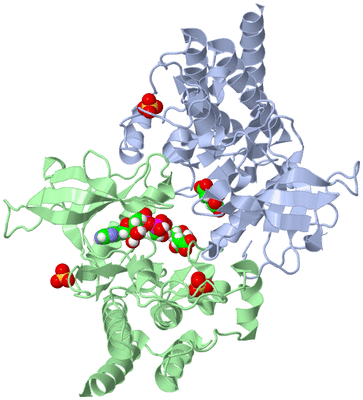 Image Biological Unit 3