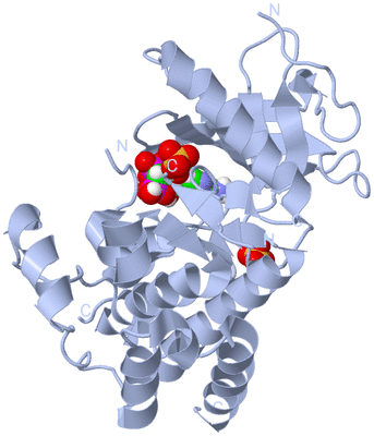 Image Biological Unit 1