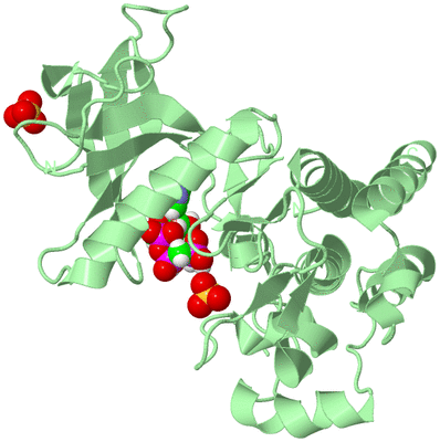 Image Biological Unit 2