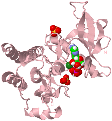 Image Biological Unit 3