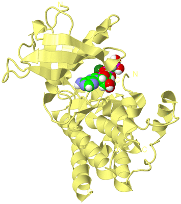 Image Biological Unit 4