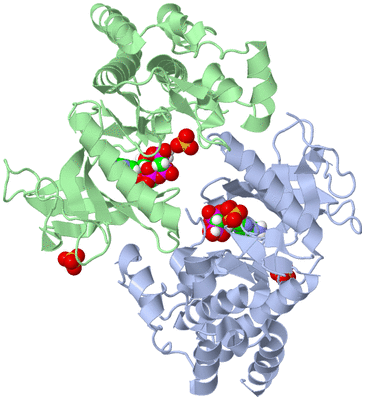 Image Biological Unit 5