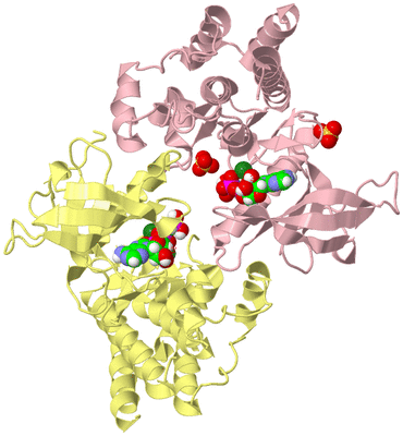 Image Biological Unit 6