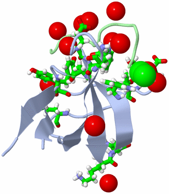 Image Biol. Unit 1 - sites