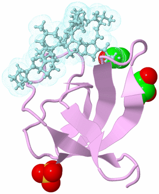 Image Biological Unit 3