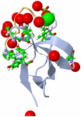 Image Biol. Unit 1 - sites