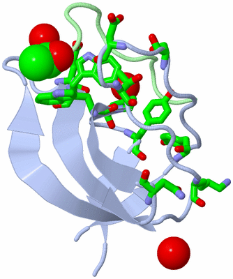 Image Biol. Unit 1 - sites