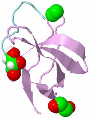 Image Biological Unit 3