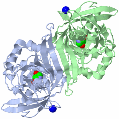 Image Asym./Biol. Unit