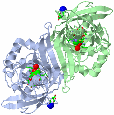 Image Asym./Biol. Unit - sites