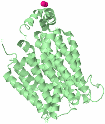 Image Biological Unit 2