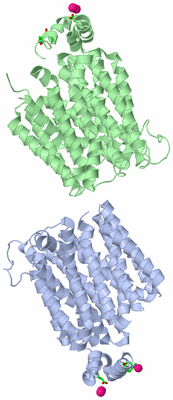 Image Asym. Unit - sites