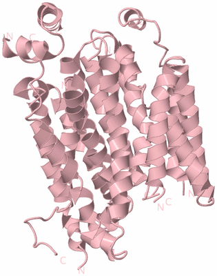 Image Biological Unit 3