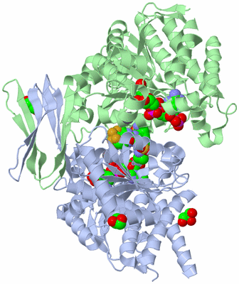 Image Asym./Biol. Unit