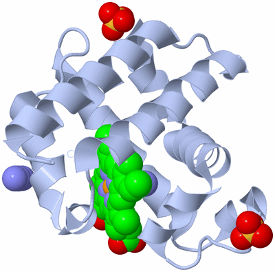 Image Biological Unit 1