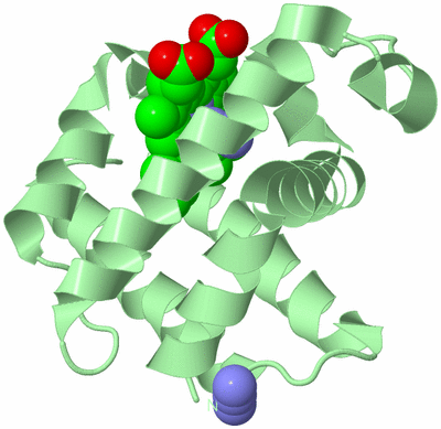 Image Biological Unit 2