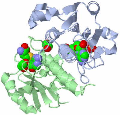 Image Asym./Biol. Unit