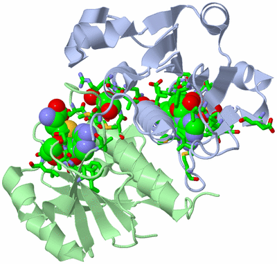 Image Asym./Biol. Unit - sites