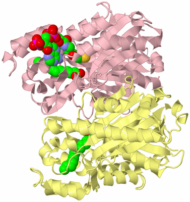 Image Biological Unit 1