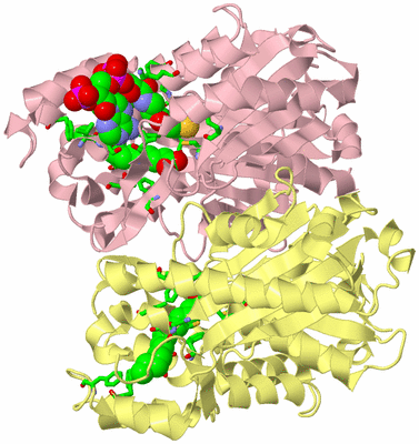 Image Biol. Unit 1 - sites