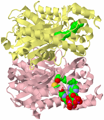 Image Biological Unit 1