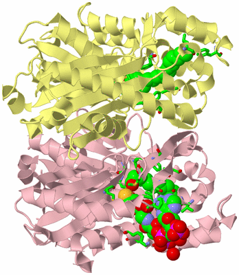 Image Biol. Unit 1 - sites