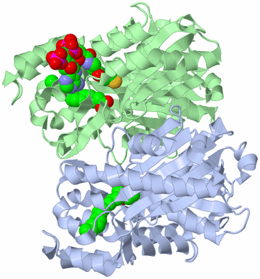 Image Biological Unit 2