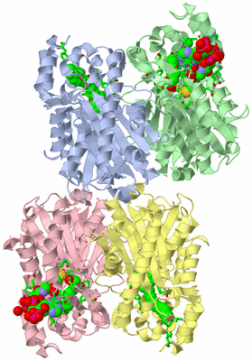 Image Asym. Unit - sites