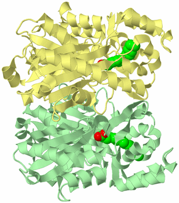 Image Biological Unit 2