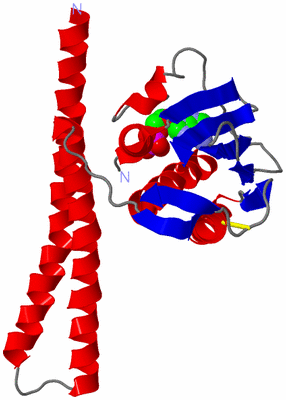 Image Asymmetric Unit