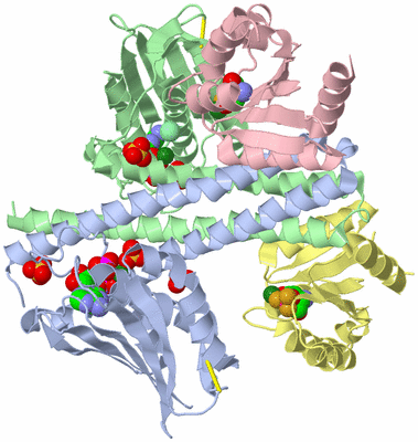 Image Asym./Biol. Unit