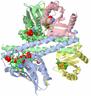 Image Asym./Biol. Unit - sites